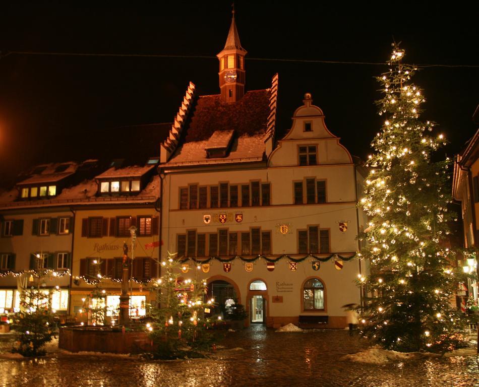 Gaestehaus Goethe ชเตาเฟิน เอม บรายสเกา ภายนอก รูปภาพ